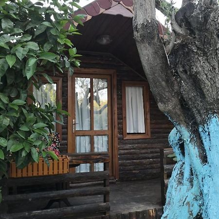 Zeytindagi Bungalow Mehmetalani ภายนอก รูปภาพ