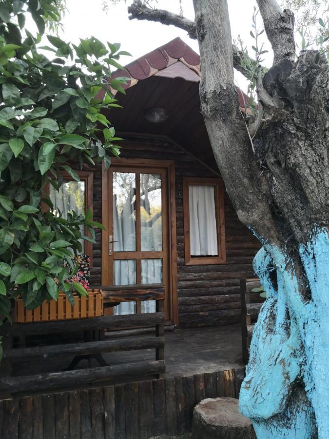 Zeytindagi Bungalow Mehmetalani ภายนอก รูปภาพ
