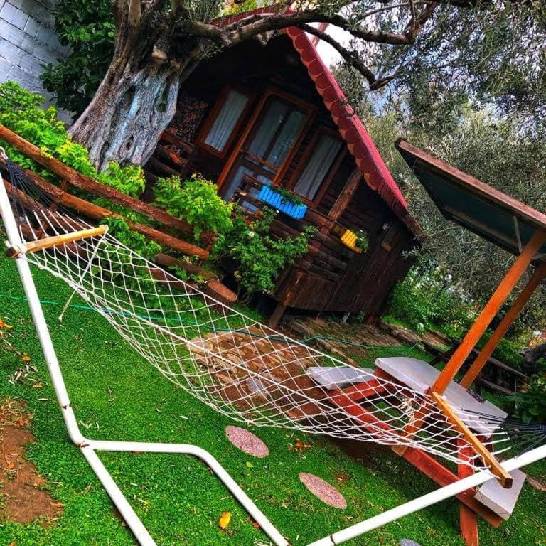 Zeytindagi Bungalow Mehmetalani ภายนอก รูปภาพ