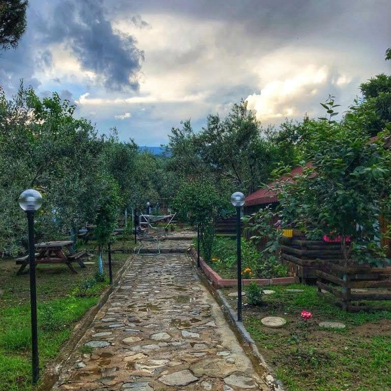 Zeytindagi Bungalow Mehmetalani ภายนอก รูปภาพ