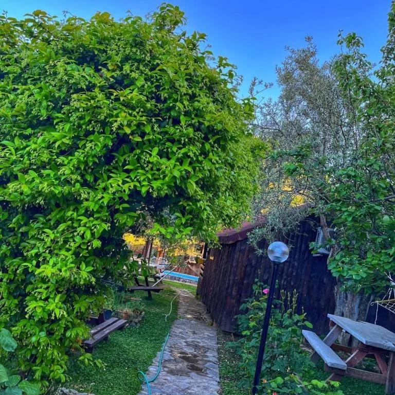 Zeytindagi Bungalow Mehmetalani ภายนอก รูปภาพ