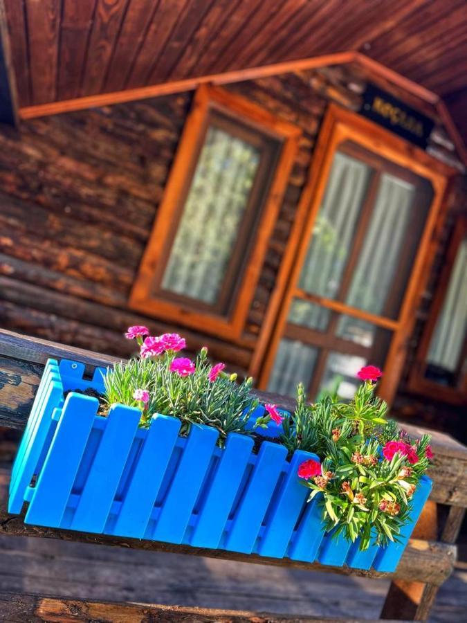 Zeytindagi Bungalow Mehmetalani ภายนอก รูปภาพ