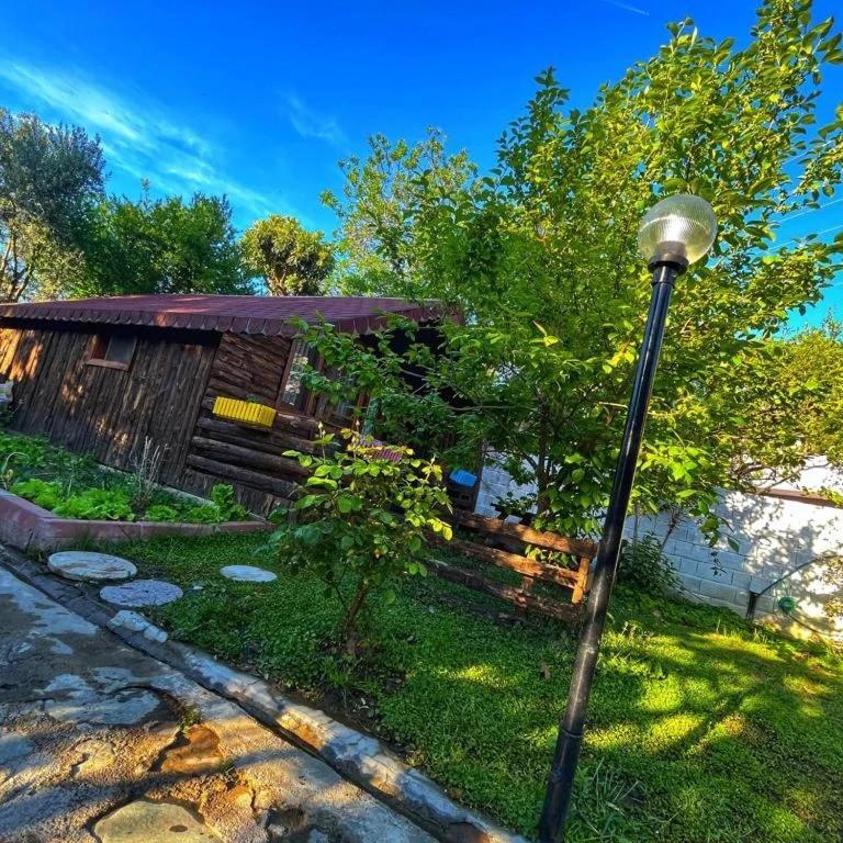 Zeytindagi Bungalow Mehmetalani ภายนอก รูปภาพ