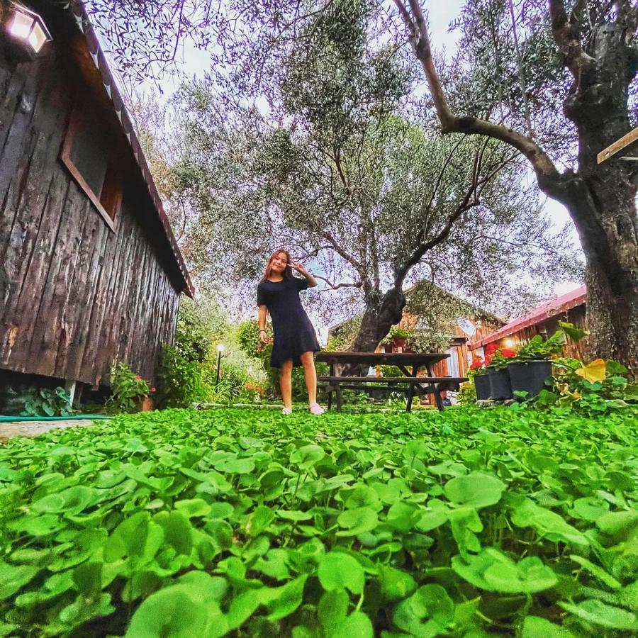 Zeytindagi Bungalow Mehmetalani ภายนอก รูปภาพ