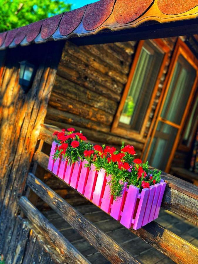 Zeytindagi Bungalow Mehmetalani ภายนอก รูปภาพ