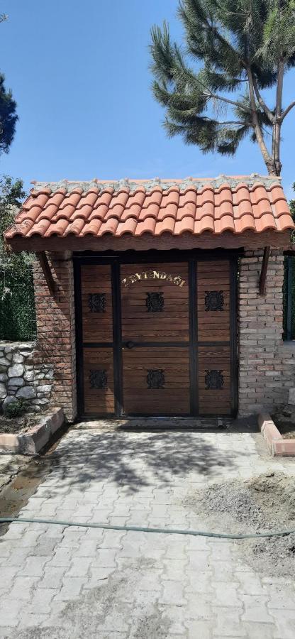 Zeytindagi Bungalow Mehmetalani ภายนอก รูปภาพ